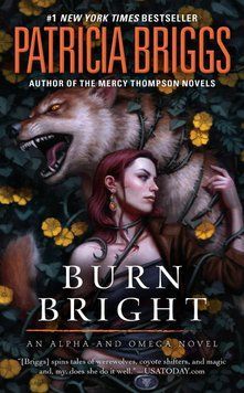 Burn Bright ENG-HUD-ADQ-Q28 фото