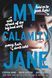 My Calamity Jane, Cynthia Hand