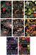 Dark Olympus 8 Books Collection ENG-HUD-JAD-AF71 фото 1