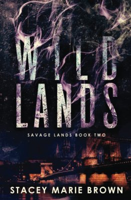 Wild Lands ENG-HUD-SMB-WL фото