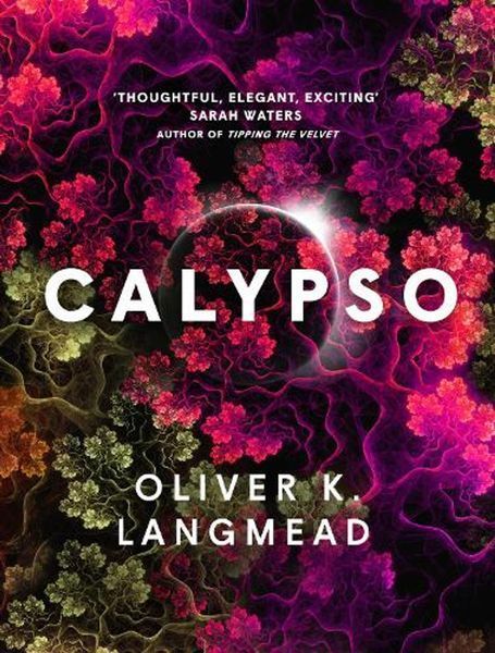 Calypso ENG-HUD-RSQ-SR117 фото