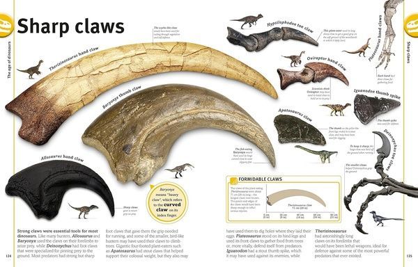 The Dinosaurs Book  ENG-HUD-RS-LRAV14 фото