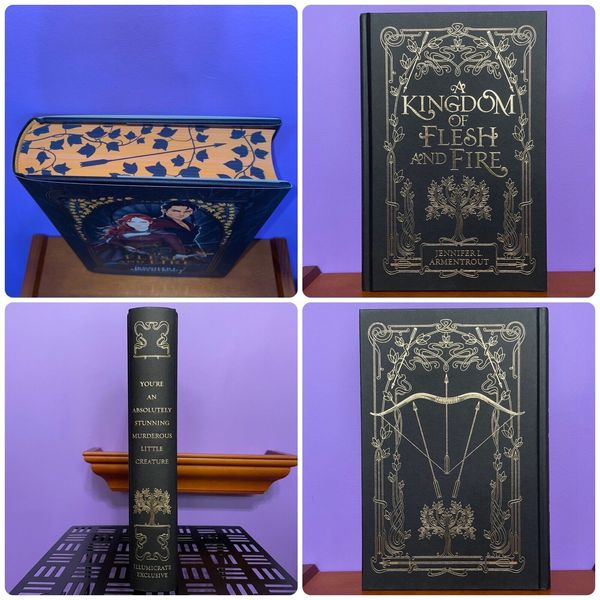 From Blood and Ash Luxe Signed Set (books 2-4) EXC-ENG-JLA-FBAA-I фото