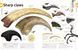 The Dinosaurs Book  ENG-HUD-RS-LRAV14 фото 6