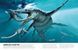 The Dinosaurs Book  ENG-HUD-RS-LRAV14 фото 7
