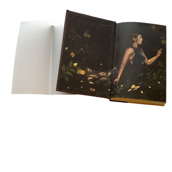This Vicious Grace Exclusive edition (signed) EXC-ENG-AG-TVG-F фото