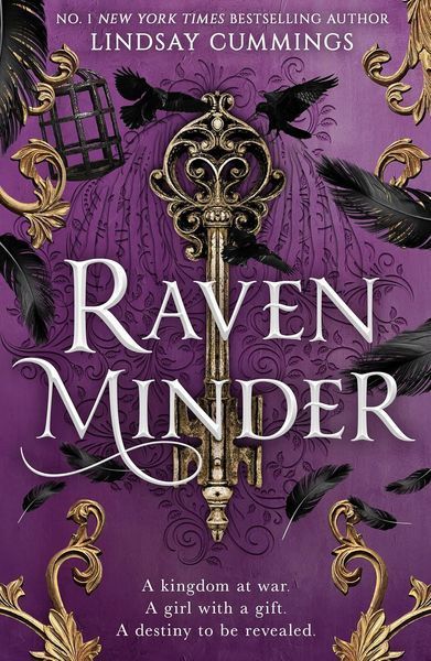 Ravenminder ENG-HUD-RSQ-SR96 фото