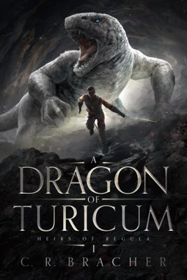 A Dragon of Turicum ENG-HUD-DT-BFS49 фото