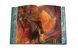 Skyshade: Collector's Edition