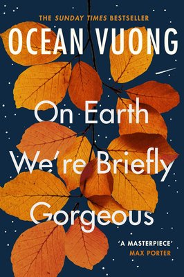 On Earth We're Briefly Gorgeous ENG-HUD-OV-OEWBGP фото