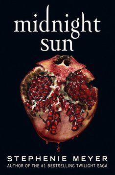 Midnight Sun ENG-HUD-MM-ERR69 фото