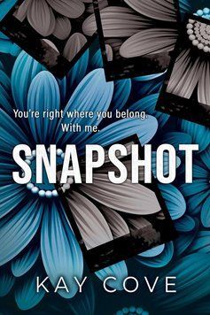 Snapshot ENG-HUD-SJ-RE78 фото