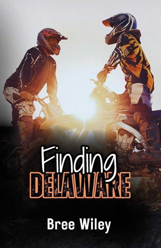 Finding Delaware ENG-HUD-LA-ST23 фото