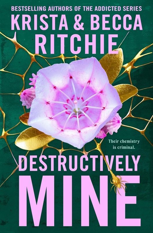 Destructively Mine, Krista Ritchie, Becca Ritchie