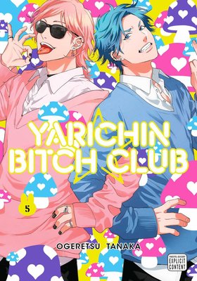 Yarichin Bitch Club, Vol. 5 ENG-HUD-SC-EFW193 фото